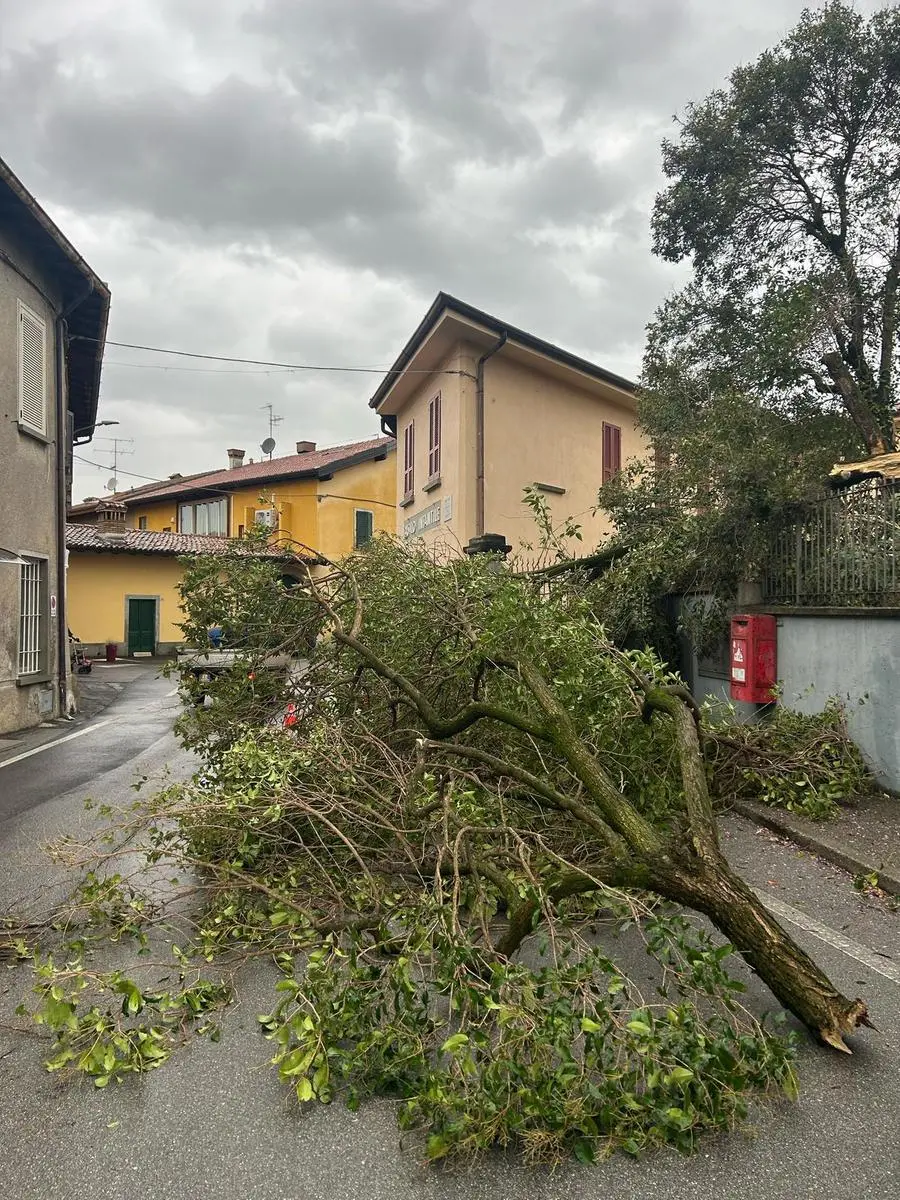 Intervento dei Vigili del fuoco a Erbusco