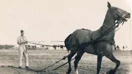 Giuseppe Calzavacca, in foto in Palestina - © www.giornaledibrescia.it