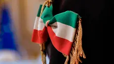 Farfallino tricolore di un commesso in aula Udienze del Palazzo della Consulta sede della Corte Costituzionale, Roma 11 Febbraio 2025. ANSA/GIUSEPPE LAMI