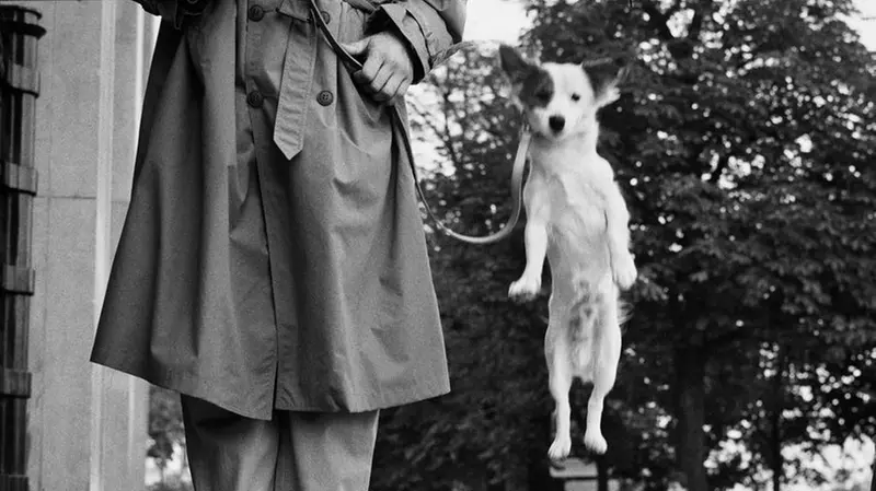 Una fotografia della mostra