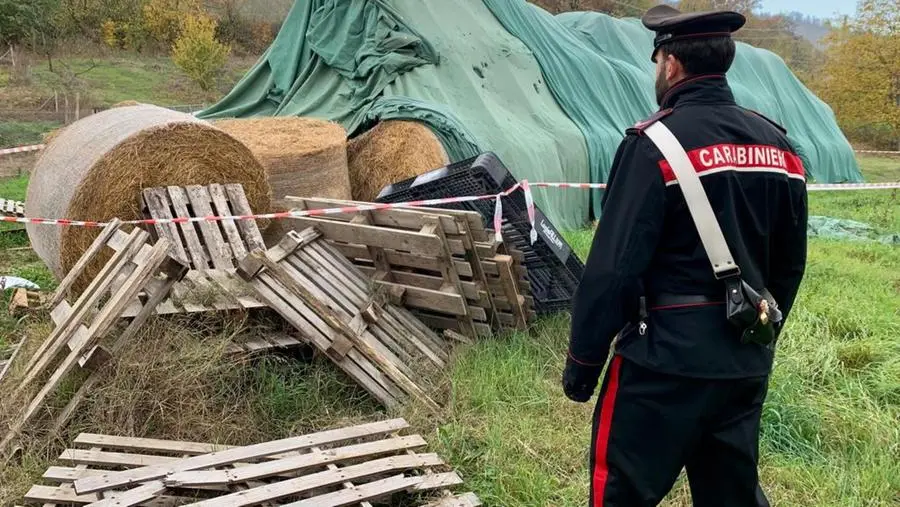 In una foto d'archivio, balle di fieno dopo un incidente