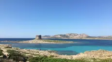 stintino
