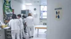 Immagini generiche di Sanità, medici, ospedale. Torino, 30 maggio 2024 ANSA/JESSICA PASQUALON