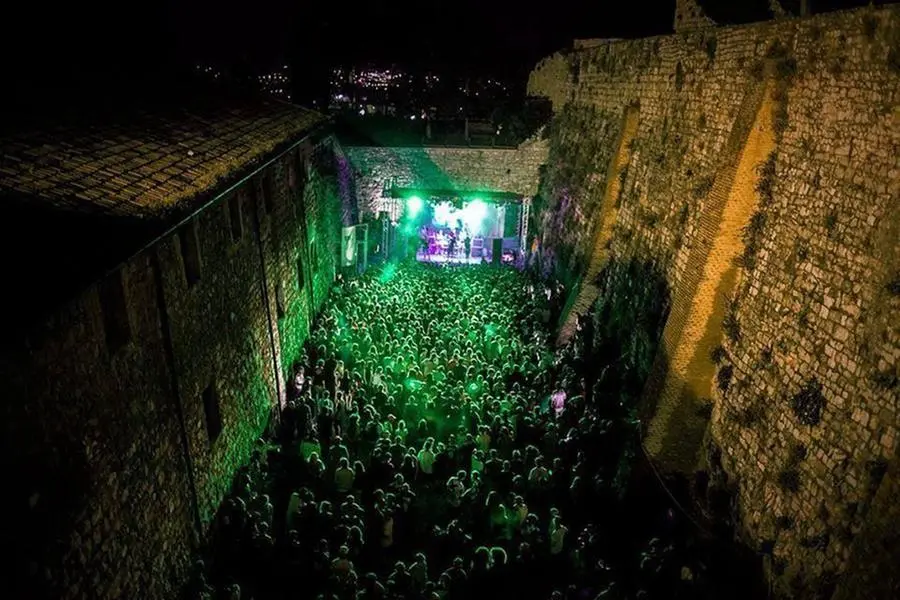 Alcuni degli scatti delle varie edizioni di MusicalZoo