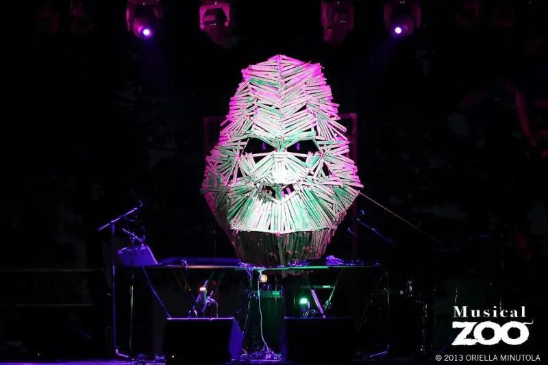 Alcuni degli scatti delle varie edizioni di MusicalZoo