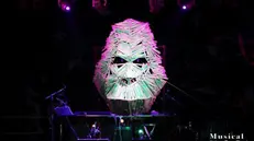 Alcuni degli scatti delle varie edizioni di MusicalZoo
