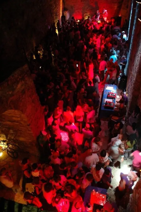 Alcuni degli scatti delle varie edizioni di MusicalZoo