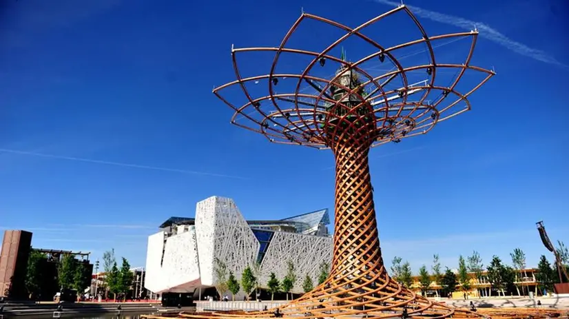 L'Albero della Vita, simbolo di Expo 2015