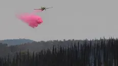 epa12066824 A firefighting aircraft dousing a fire with retardant in the Latrun area, in central Israel, between Jerusalem and Tel Aviv, 01 May 2025. Magen David Adom (MDA), Israel's national emergency services, reported that emergency teams treated and evacuated several people with minor burns and smoke inhalation. Israel has requested international aid to tackle the fires. EPA/ABIR SULTAN
