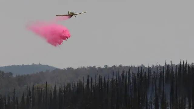 epa12066824 A firefighting aircraft dousing a fire with retardant in the Latrun area, in central Israel, between Jerusalem and Tel Aviv, 01 May 2025. Magen David Adom (MDA), Israel's national emergency services, reported that emergency teams treated and evacuated several people with minor burns and smoke inhalation. Israel has requested international aid to tackle the fires. EPA/ABIR SULTAN