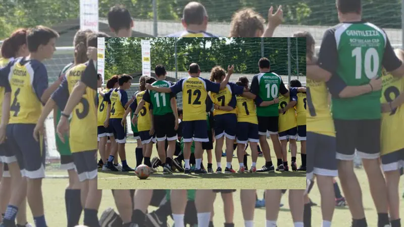 Bcf Dream Cup