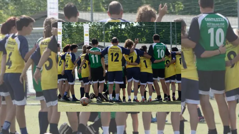 Bcf Dream Cup