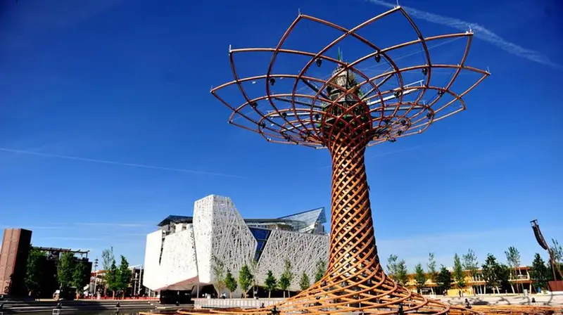 L'Albero della Vita