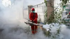 epaselect epa11843650 A health service officer fumigate with anti-mosquito fog to control dengue feverÂ in a residential area in Banda Aceh, Indonesia, 22 January 2025. According to an officer from the community health center, Yunus Arifin, the fogging was a preventive measure against the spread of dengue fever carried by the Aedes aegypti mosquito, which is spread in densely populated areas. EPA/HOTLI SIMANJUNTAK