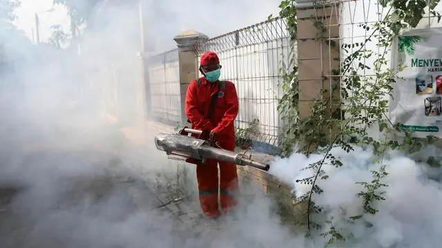 epaselect epa11843650 A health service officer fumigate with anti-mosquito fog to control dengue fever in a residential area in Banda Aceh, Indonesia, 22 January 2025. According to an officer from the community health center, Yunus Arifin, the fogging was a preventive measure against the spread of dengue fever carried by the Aedes aegypti mosquito, which is spread in densely populated areas. EPA/HOTLI SIMANJUNTAK