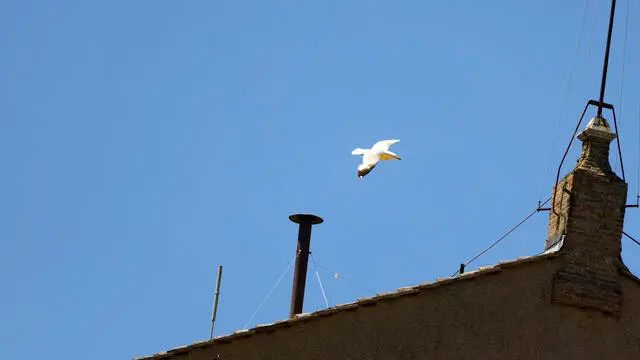 A chimney pot is installed on the roof of the Sistine Chapel in the Vatican City, 02 May 2025, ahead of the conclave to choose a new pope which is due to begin 07 May 2025 ANSA/MASSIMO PERCOSSI