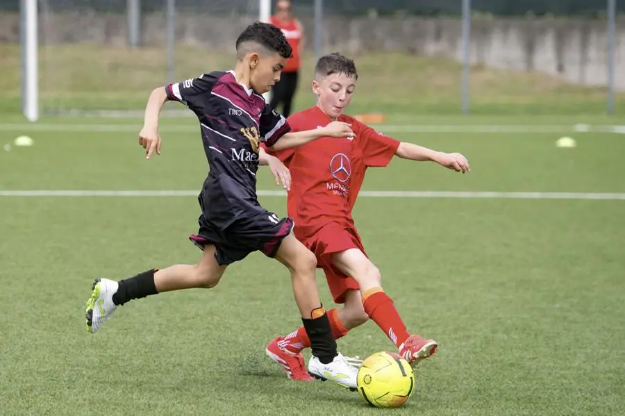 Coppa Brescia, le finali dei Pulcini U10 e U11