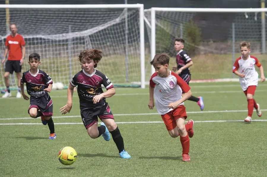 Coppa Brescia, le finali dei Pulcini U10 e U11