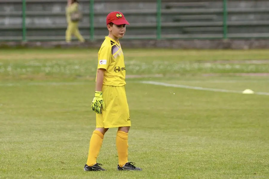 Coppa Brescia, le finali dei Pulcini U10 e U11