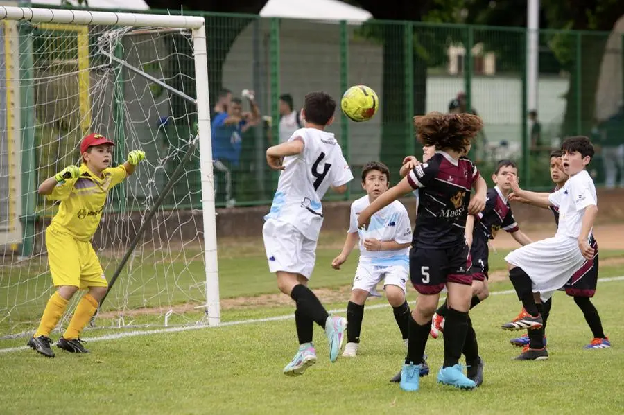 Coppa Brescia, le finali dei Pulcini U10 e U11