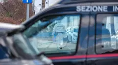 I Carabinieri sul luogo in cui un ventenne è stato ucciso in nottata nel corso di una rissa, Balestrate (Palermo), 14 gennaio 2024. La rissa e' scoppiata all'interno della discoteca Medusa ed e' poi proseguita all'esterno del locale. La vittima sarebbe stata assassinata a botte.14/1/2024 ANSA/IGOR PETYX
