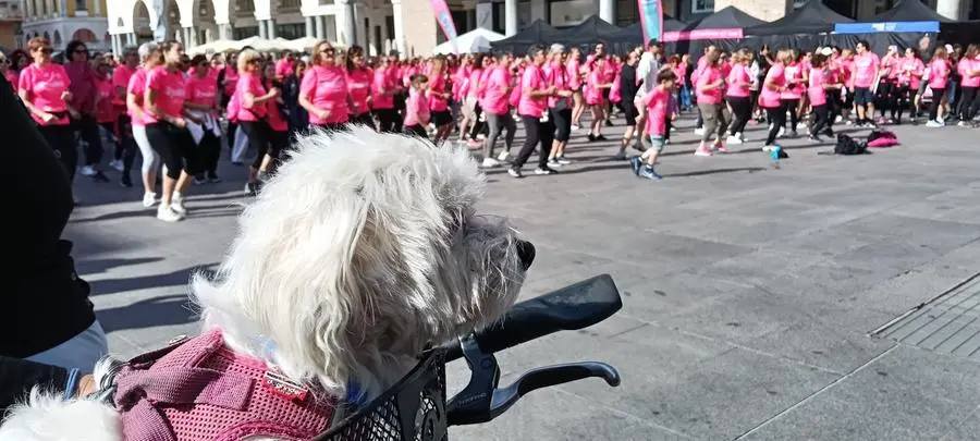 A Brescia si corre la Strawoman