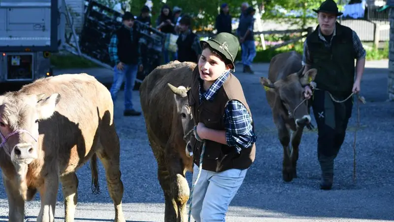 Tanti i giovani appassionati - © www.giornaledibrescia.it