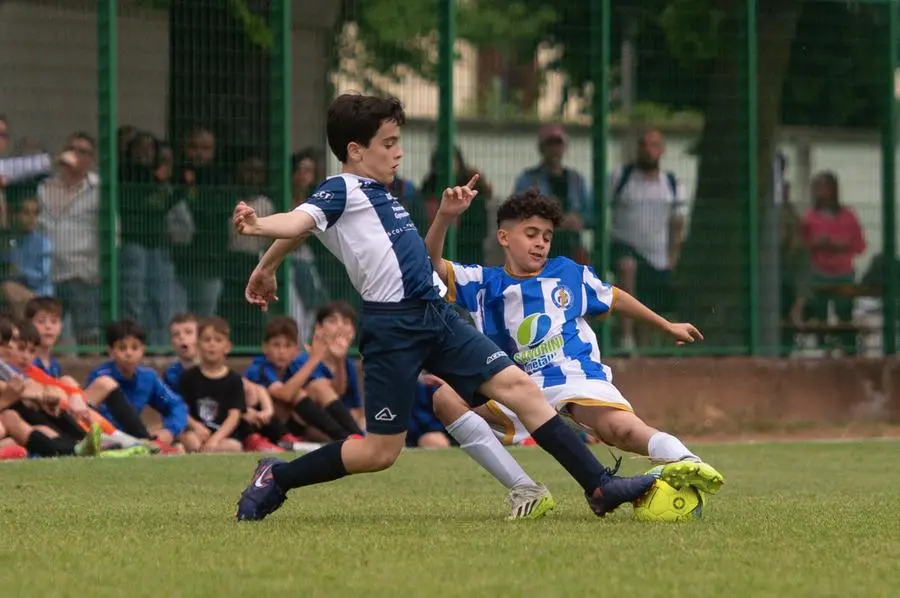 Coppa Brescia, gli scatti delle finali Esordienti
