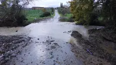 Maltempo, allagamenti, piogge, temporali