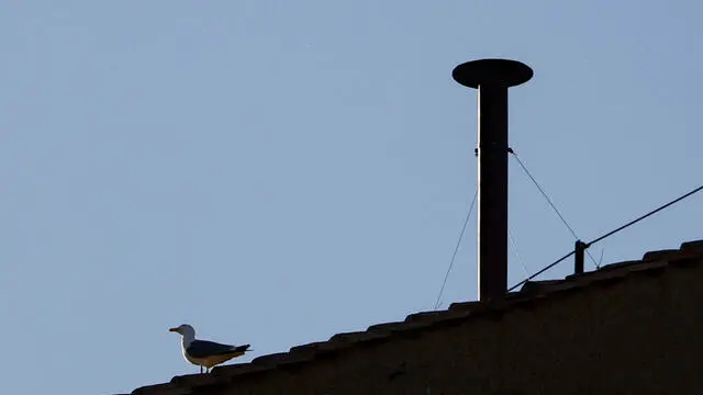A bird past the chimney on the roof of the Sistine Chapel meaning that cardinals to elect a new pope on the first day of their secret conclave, Vatican City, 7 May 2025. ANSA/FABIO FRUSTACI
