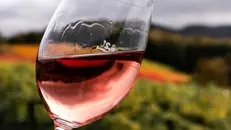 Un calice di vino durante una degustazione nel Bresciano