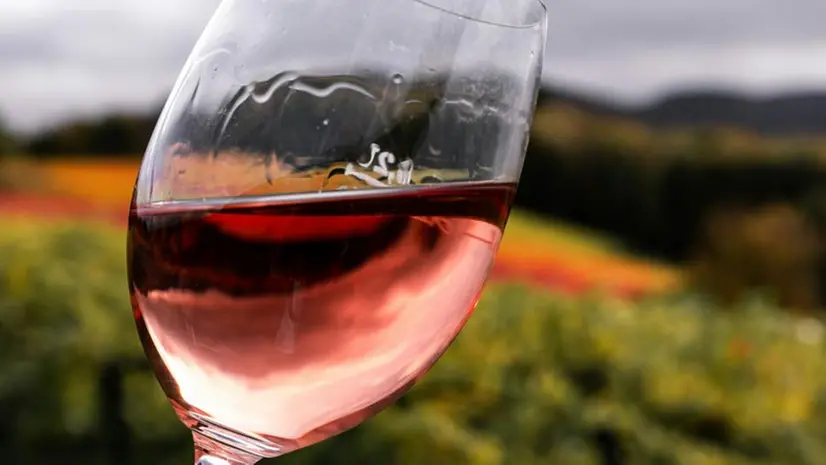Un calice di vino durante una degustazione nel Bresciano