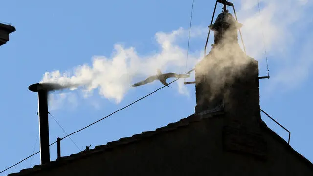 White smoke comes out of the chimney atop the Sistine Chapel next to St. Peter's Basilica on the second day of the conclave to elect a new pope in Vatican City, 08 May 2025. ANSA/ETTORE FERRARI (cardinale, cardinali, San Pietro, Vaticano, comignolo, fumo, bianca)