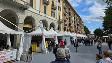 Biella, tutto pronto per l'Adnunata - © www.giornaledibrescia.it