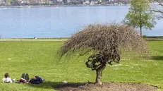 epa12009643 People lie on the grass, enjoying the sunshine at Parc de la Perle du Lac on the shore of Lake Geneva, in Geneva, Switzerland, 04 April 2025. EPA/SALVATORE DI NOLFI