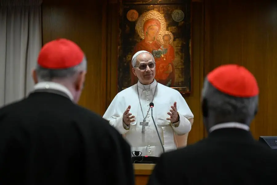 Il primo Collegio cardinalizio di papa Leone XIV