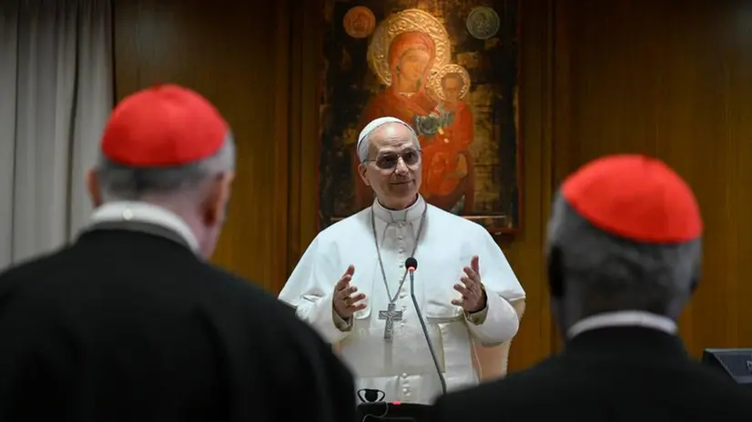 Il primo Collegio cardinalizio di papa Leone XIV