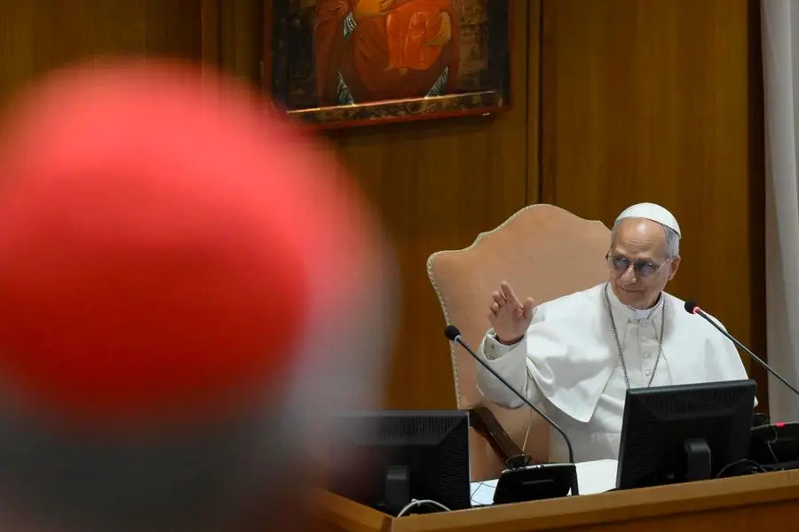 Il primo Collegio cardinalizio di papa Leone XIV
