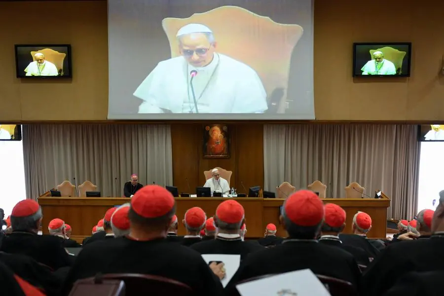 Il primo Collegio cardinalizio di papa Leone XIV