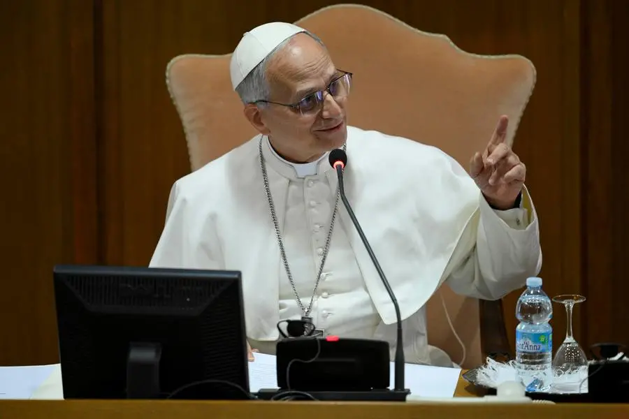 Il primo Collegio cardinalizio di papa Leone XIV