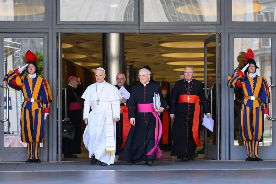 Il primo Collegio cardinalizio di papa Leone XIV