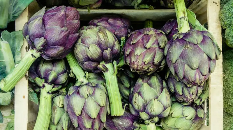 Carciofi - © www.giornaledibrescia.it