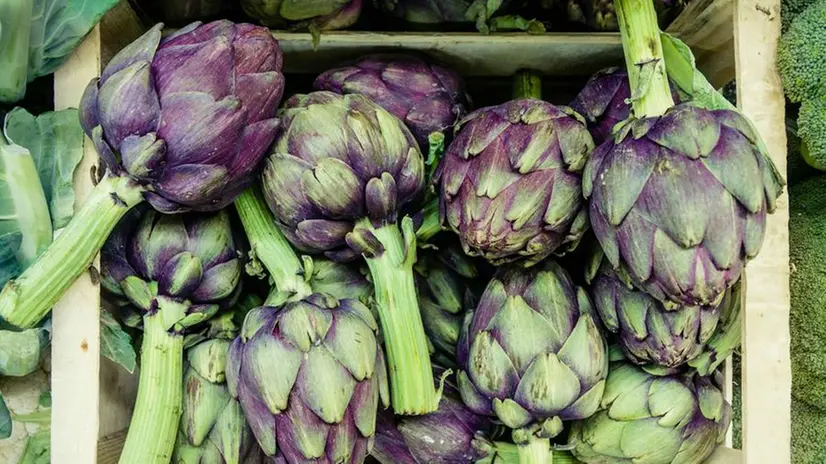 Carciofi - © www.giornaledibrescia.it