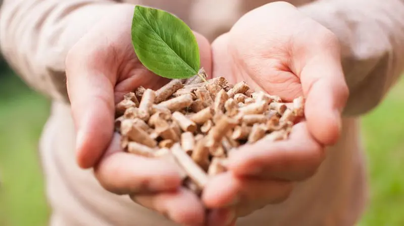 Il 70% della produzione di biomasse viene generato da cippato di legno
