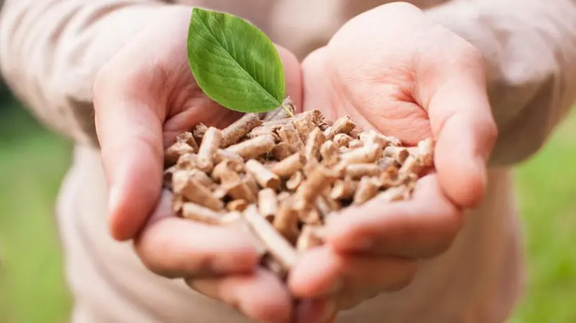 Il 70% della produzione di biomasse viene generato da cippato di legno