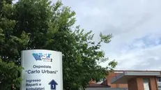 L'ospedale Carlo Urbani di Jesi