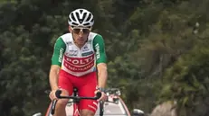 Alessandro Tonelli