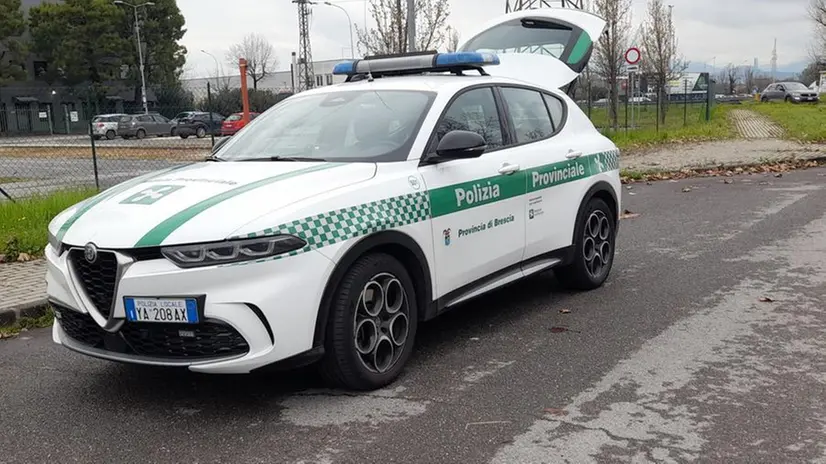 Un'auto della Polizia provinciale in servizio