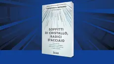 Il libro «Soffitti di cristallo, radici d'acciaio» di Francesca Morandi con Silvia Pagliuca (Il Sole 24 Ore; pp. 144)