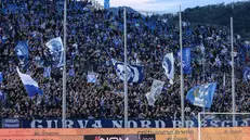 La Curva Nord Brescia - Foto New Reporter Nicoli © www.giornaledibrescia.it